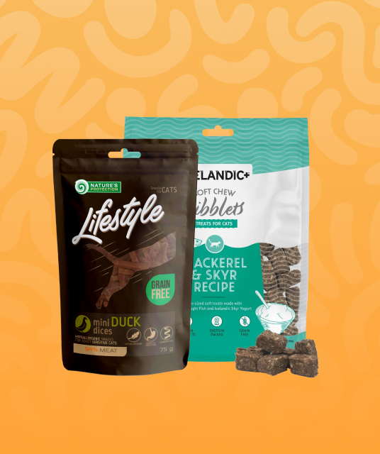 close-up detail of step in cat harness buckles and adjustment points