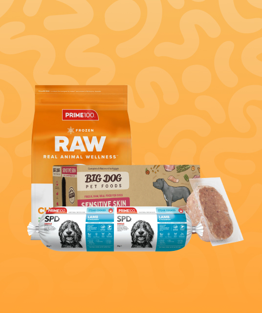 collapsible dog cages set up in lounge-room