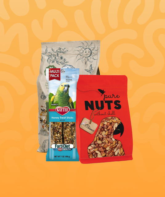 customised pet - Professional Guide and Review