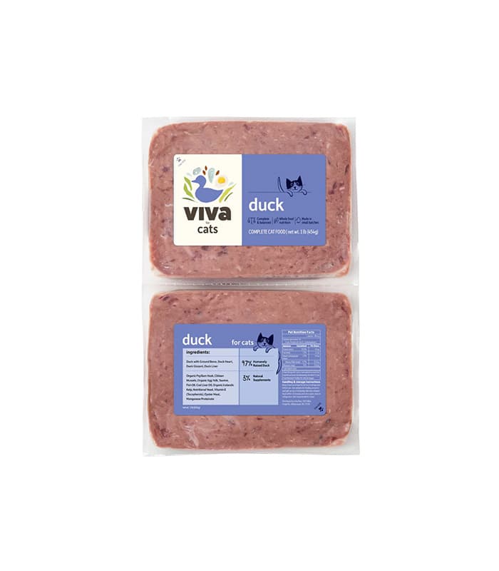 cat tree small - Professional Guide and Review