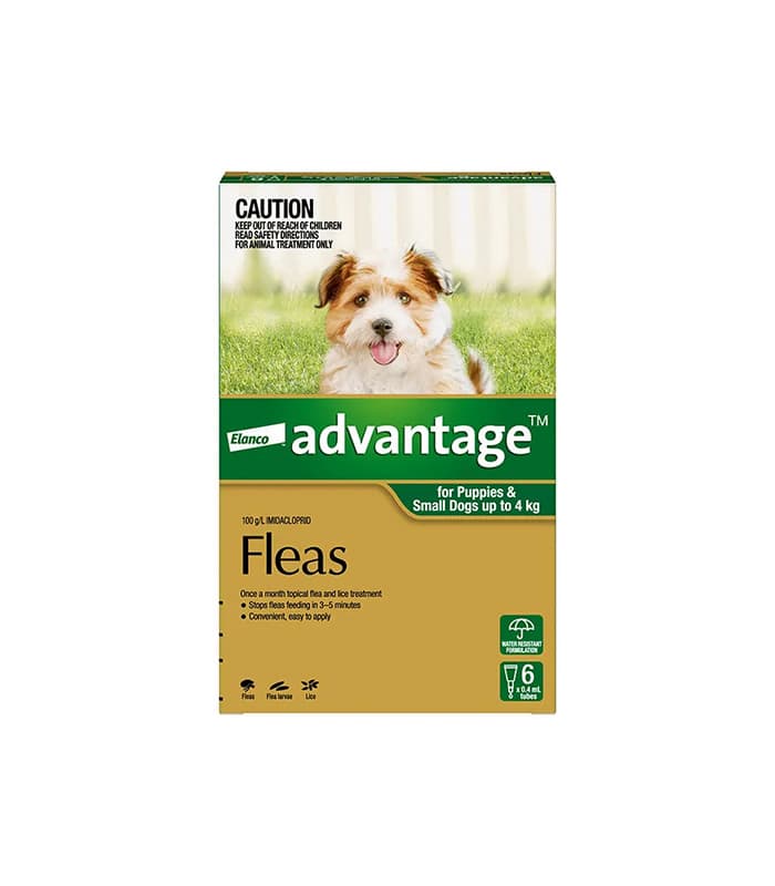 dog indoor fence - Professional Guide and Review