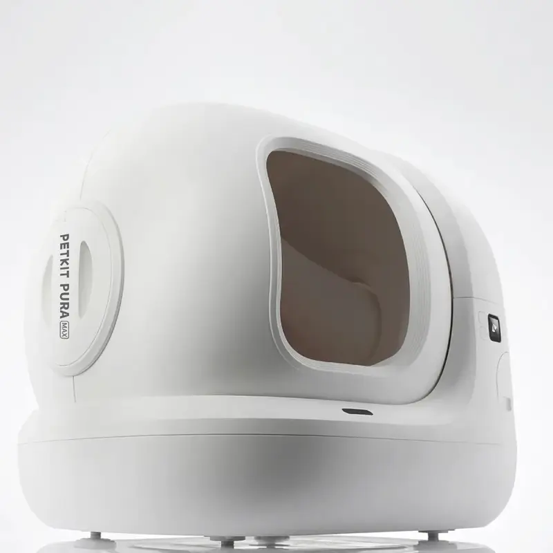 breakaway collar cat - Professional Guide and Review