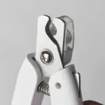 dog rain coats australia - Professional Guide and Review