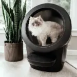 Automatic Litter-Robot 4, Black - Image 3