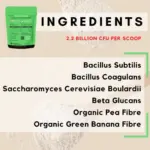 flirt pole for large dogs - Professional Guide and Review