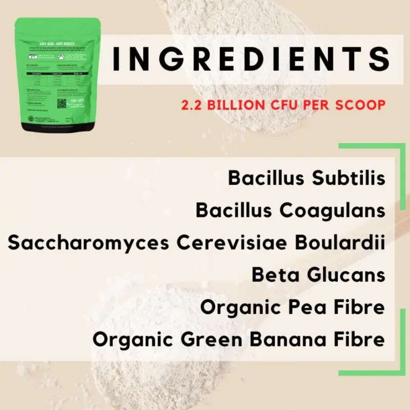 flirt pole for large dogs - Professional Guide and Review