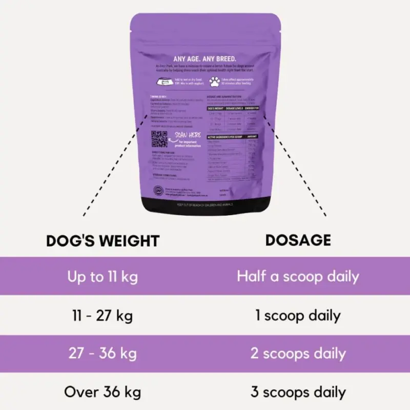 great dane dog beds - Professional Guide and Review