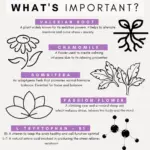 Petz Park Supplement For Dogs | Stress + Anxiety - Image 5