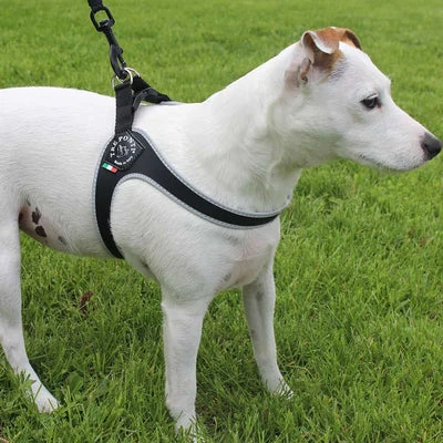 dog and puppies toy - Professional Guide and Review