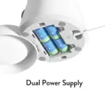 leather collars - Professional Guide and Review