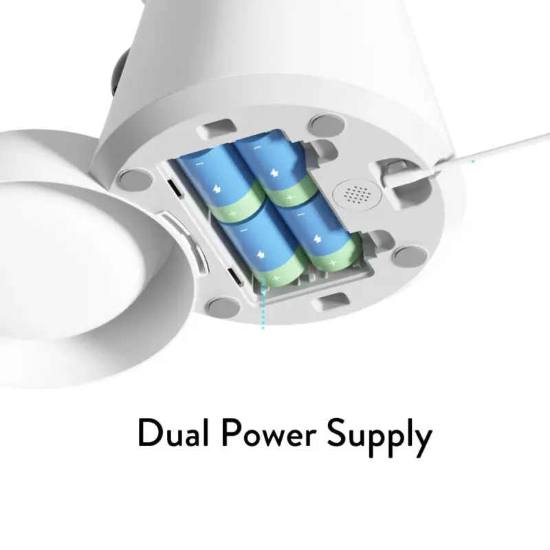 leather collars - Professional Guide and Review