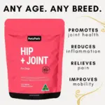 Petz Park Supplement For Dogs | Hip + Joint - Image 2