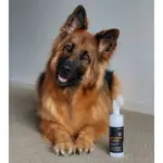 Essential Dog Portable Paw Cleaner - Image 6