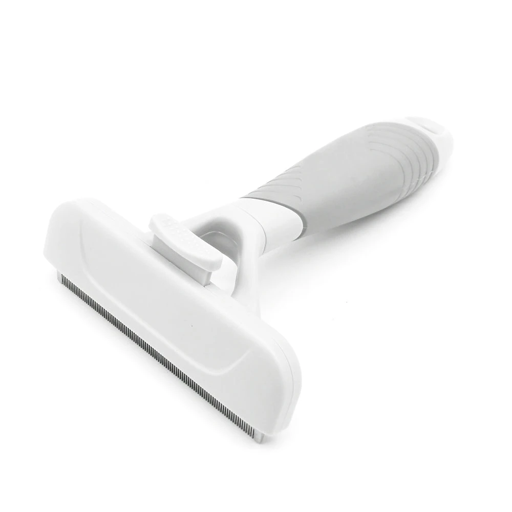 feather wand play session while grooming with self-cleaning deshedding tool