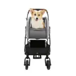 double dog pram - Professional Guide and Review