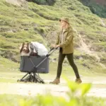 nas itchy scratch - Professional Guide and Review