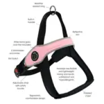 dog collars online - Professional Guide and Review