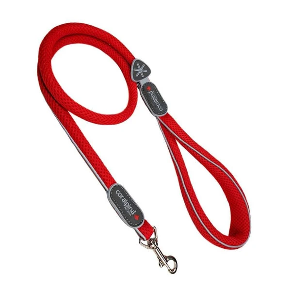 dog slings - Professional Guide and Review