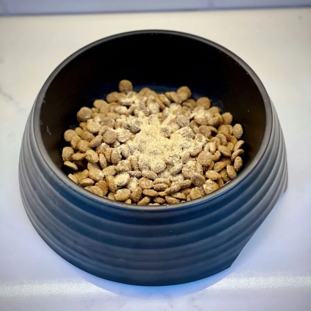 dog crates for medium sized dogs comparison wire soft furniture