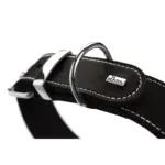 Hunter Aalborg Special Leather Dog Collar, Black - Image 4