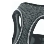 cat trolley - Professional Guide and Review