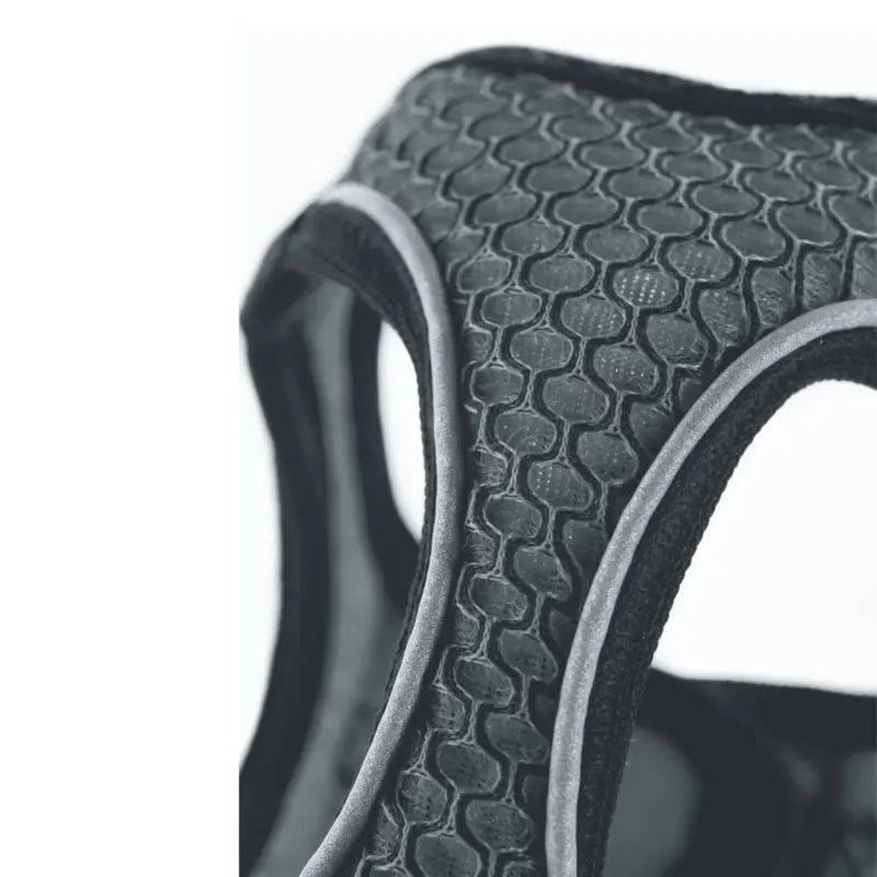 cat trolley - Professional Guide and Review