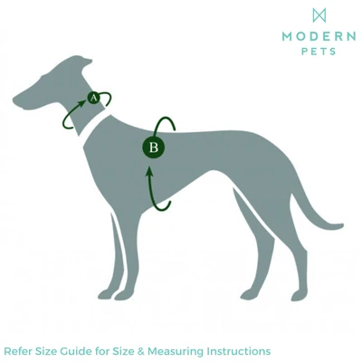 leather collars being fitted properly on different dog breeds