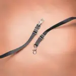 Ibiyaya Monarch Premium Pet Jogger Stroller, Luxury Gold - Image 8