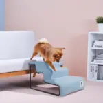 travel bag caterpillar - Professional Guide and Review