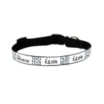 cool dog collars - Professional Guide and Review