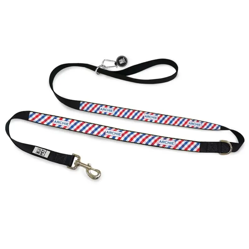 dogs car seat belt - Professional Guide and Review
