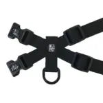 Personalised Pet Harness - Confetti - Image 7