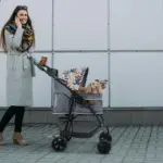 electric collar for cats - Professional Guide and Review