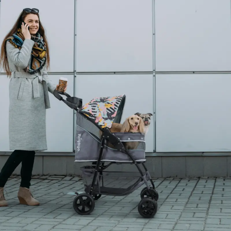 electric collar for cats - Professional Guide and Review