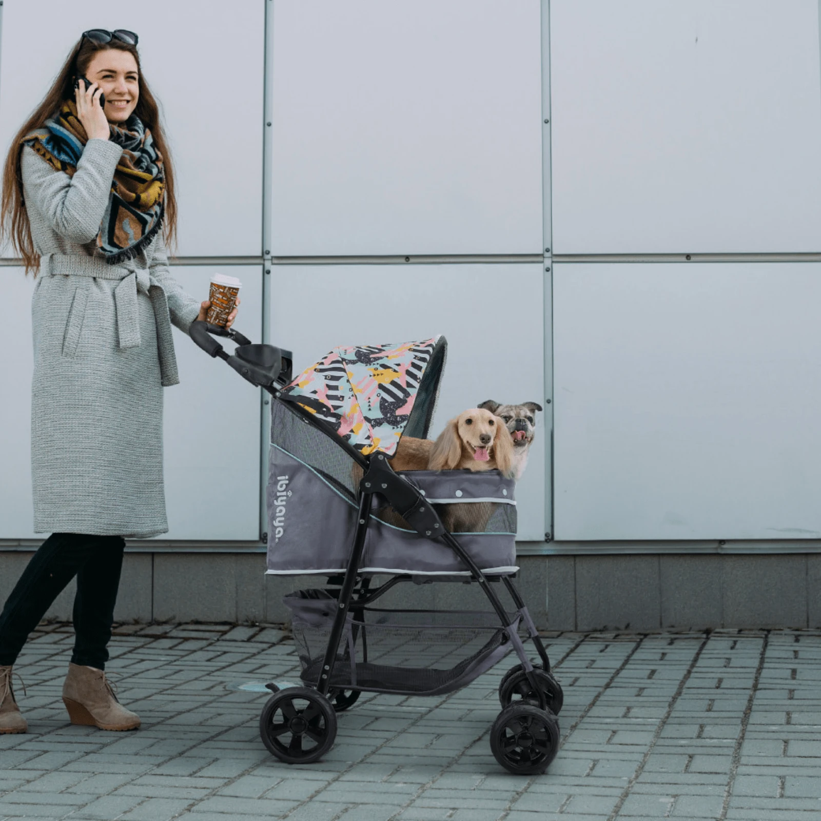 electric collar for cats - Professional Guide and Review