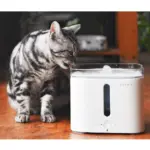 pet fountain stainless - Professional Guide and Review