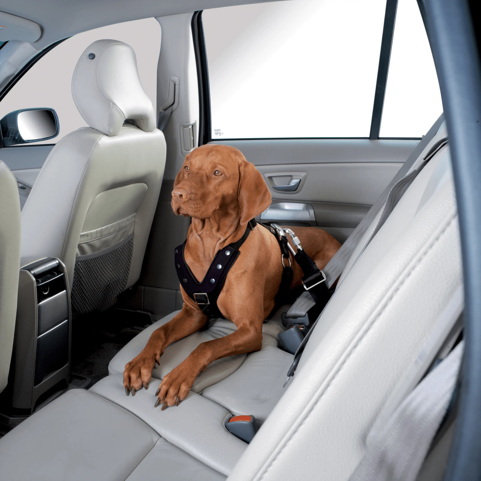 product_image_1761136781.webp Hunter Easy Comfort Dog Car Harness - Image 1