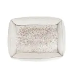 lazer cat - Professional Guide and Review