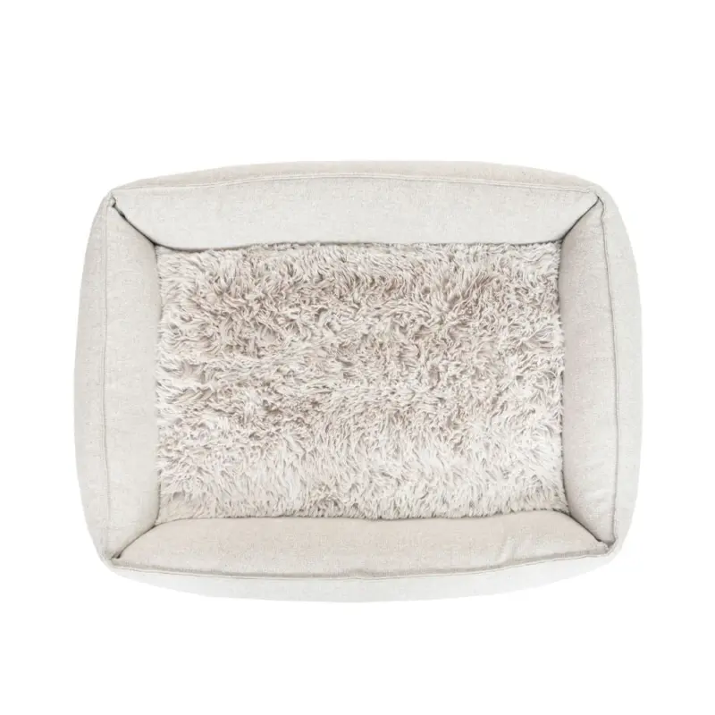 lazer cat - Professional Guide and Review