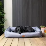 cat sofa bed - Professional Guide and Review