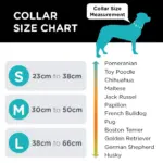 dogs car seat belt - Professional Guide and Review