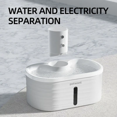 cat dog stroller on coastal path