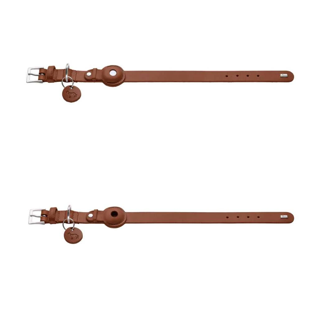 senior Beagle using pet stairs and ramps in Melbourne backyard