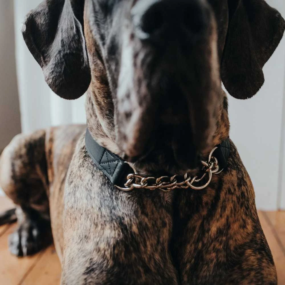 secret cat litter box hidden inside timber side table with ventilation slats