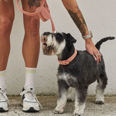 dog pens for outside showing proper sizing and installation in Australian backyard