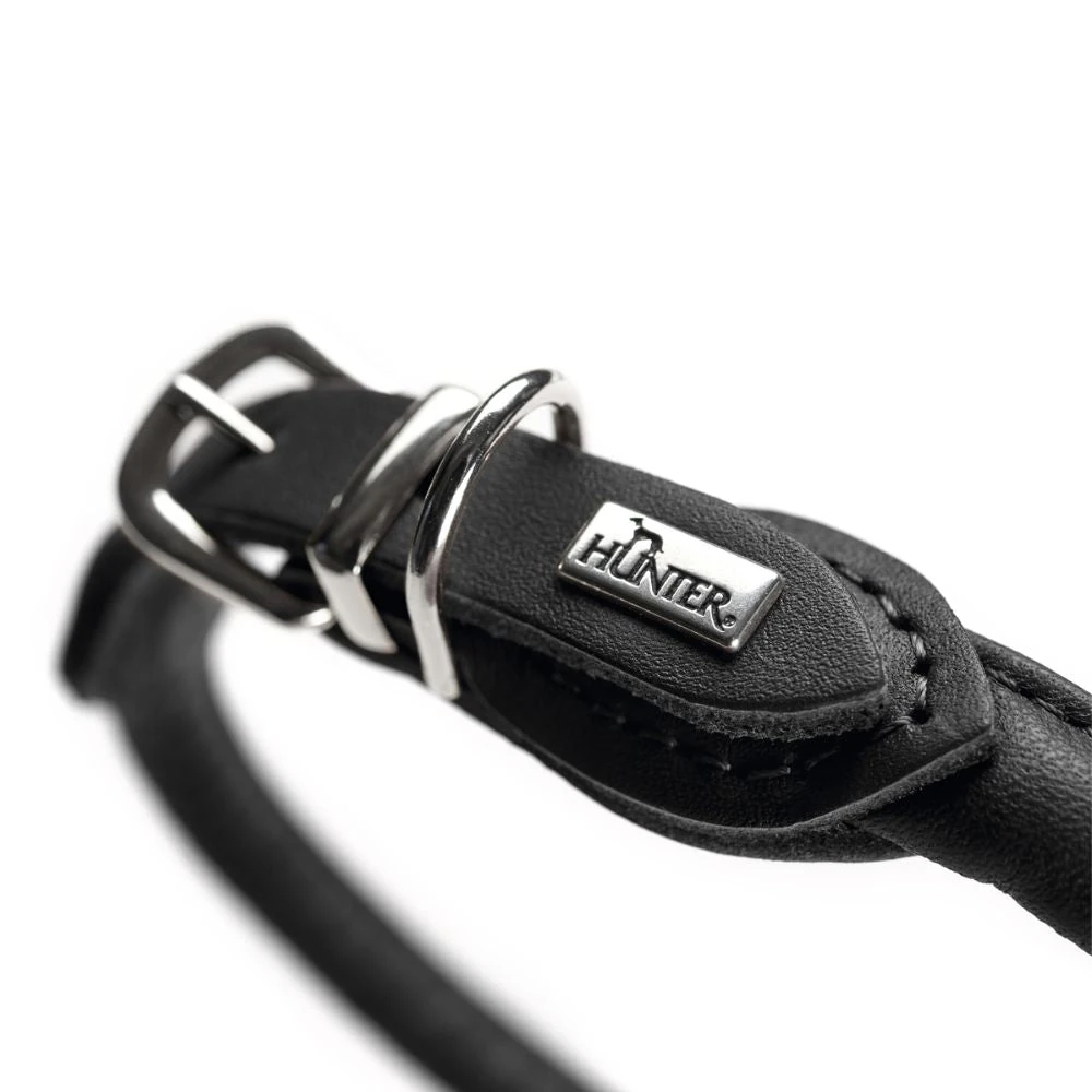 pet carpet stain remover - Pet carpet stain remover being applied to carpet with visible stain reduction