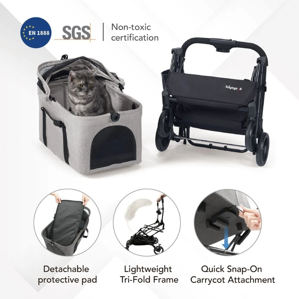 dog licking legs after daily grooming routine