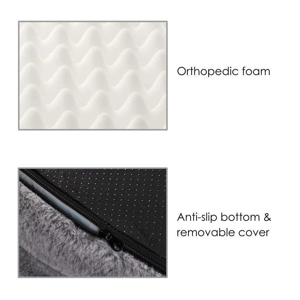 dog trailer bike owner story in Fremantle sunset