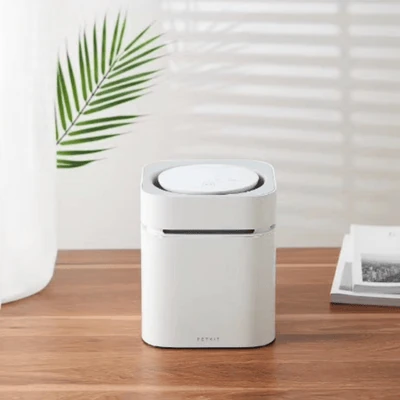 Dog walker using traffic handle on dog leesh near Melbourne tram tracks