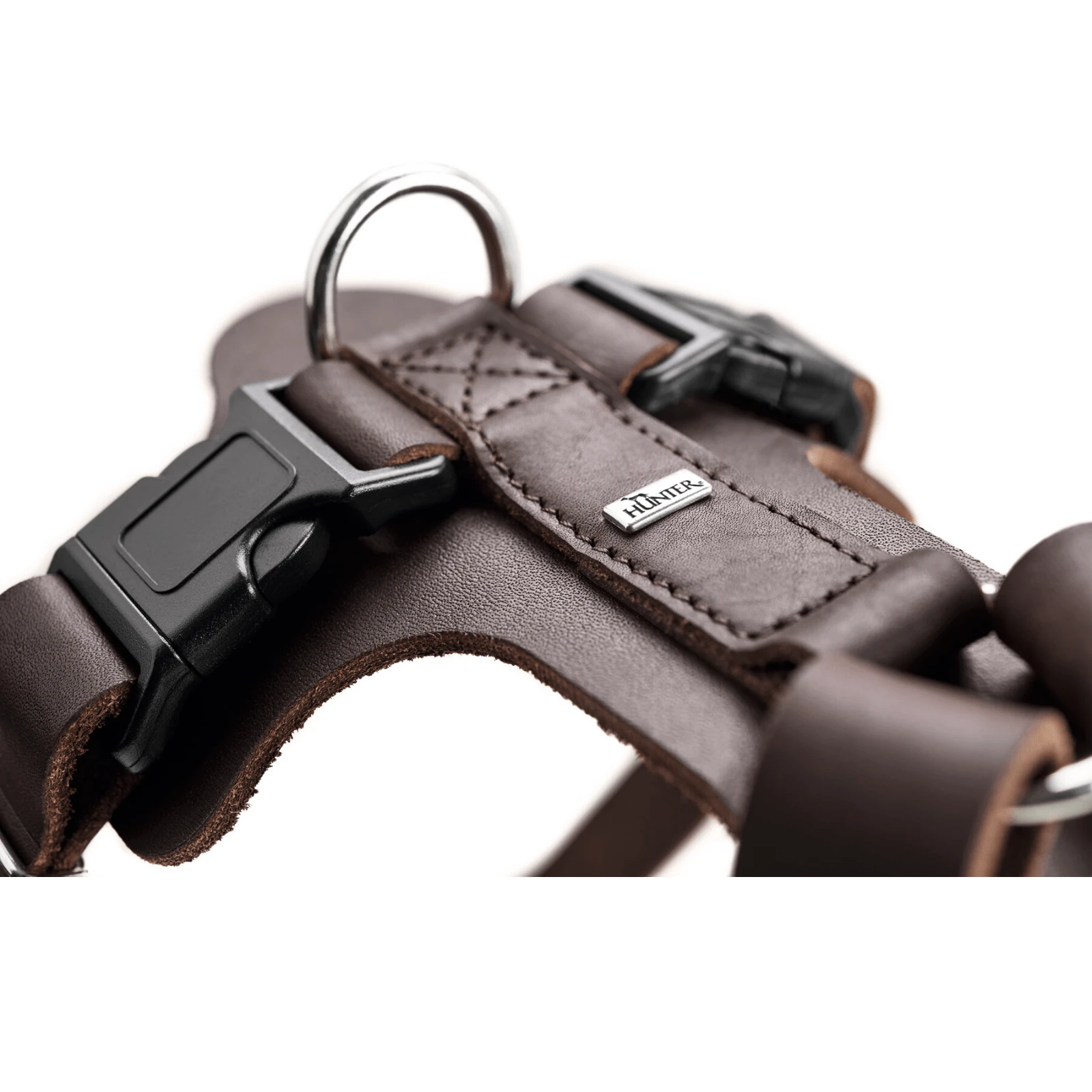 cat climbing - Professional Guide and Review